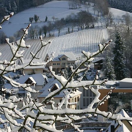 Weingut Wissler - Brennerei Διαμέρισμα Au Εξωτερικό φωτογραφία